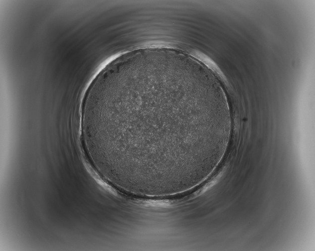 X0000087560844200704271225