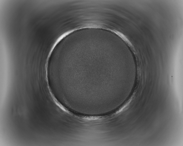 X0000087560846200704271225