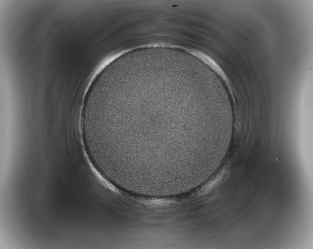 X0000087560847200704271225