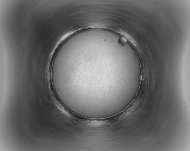 X0000087560848200704271225
