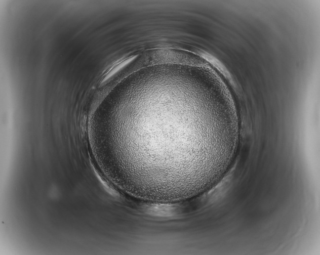 X0000087560849200704271225