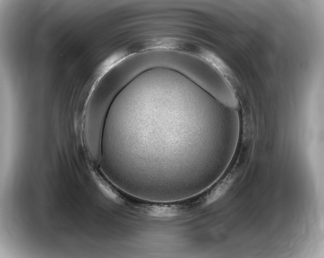 X0000087560850200704271225