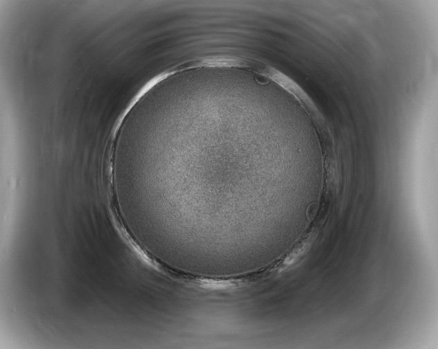 X0000087560852200704271225