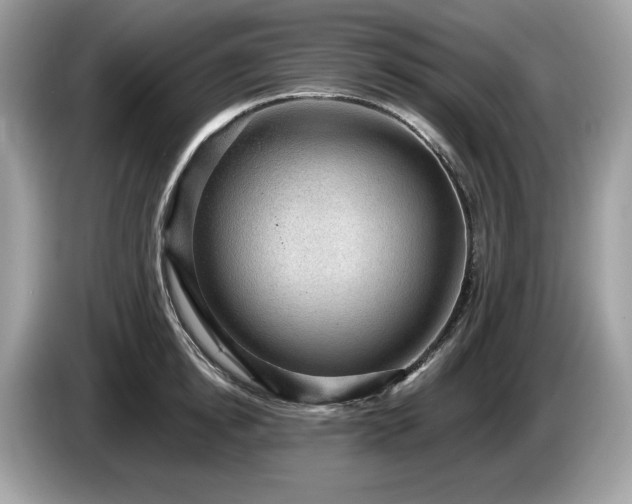 X0000087560854200704271225