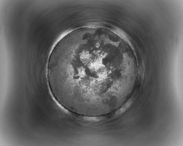 X0000087560855200704271225