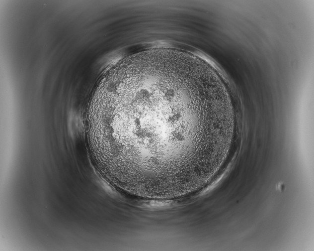 X0000087560857200704271225