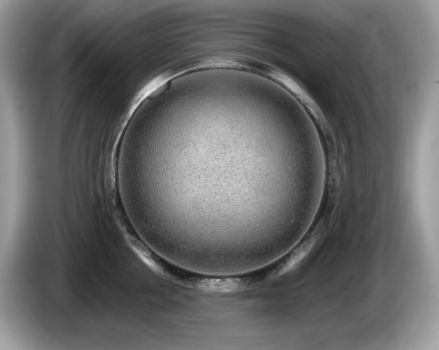 X0000087560858200704271225