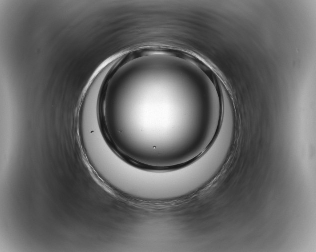 X0000087560862200704271225
