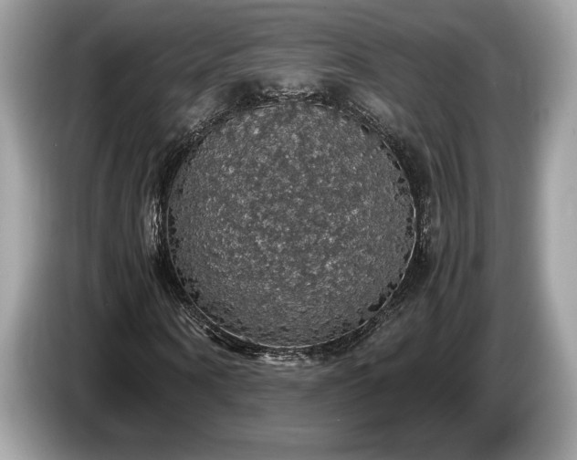 X0000087560866200704271224