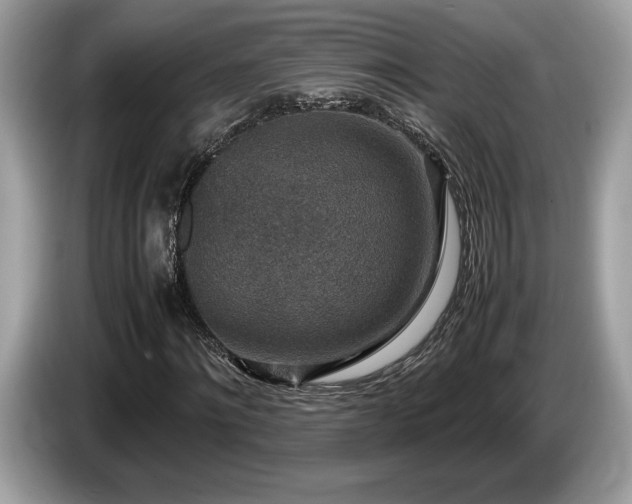 X0000087560868200704271224