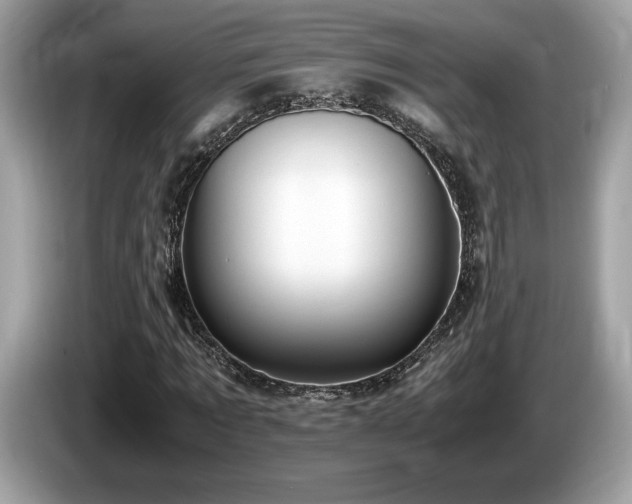 X0000087560869200704271224
