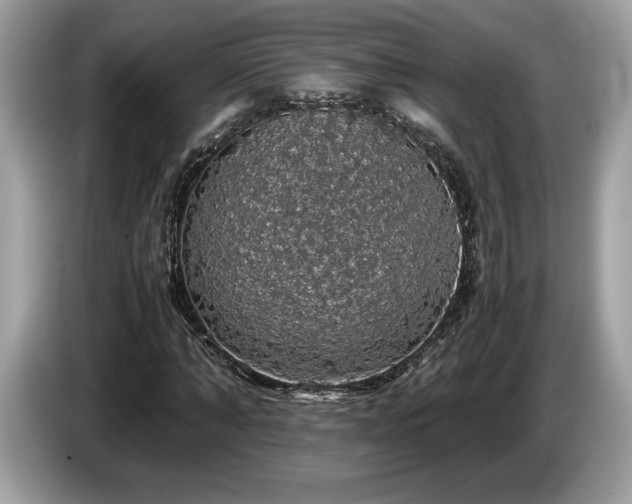 X0000087560870200704271224