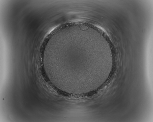 X0000087560871200704271224