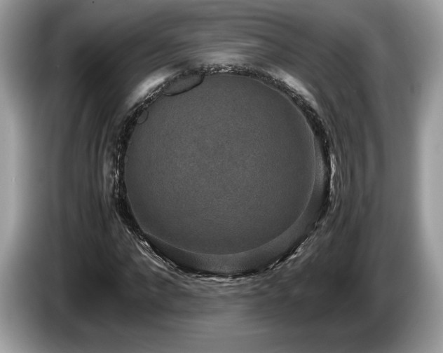 X0000087560872200704271224