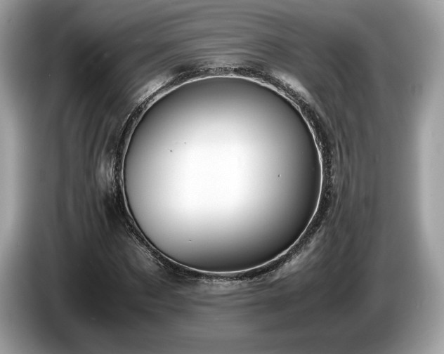 X0000087560873200704271224