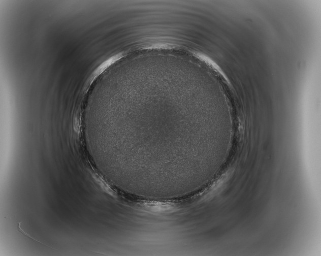 X0000087560874200704271224
