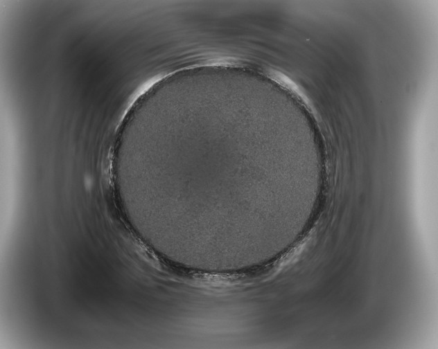X0000087560875200704271224