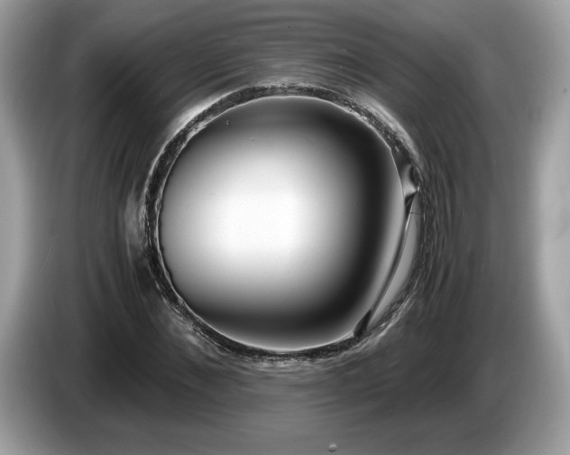 X0000087560876200704271224