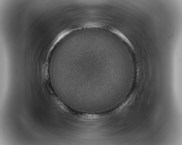 X0000087560878200704271224