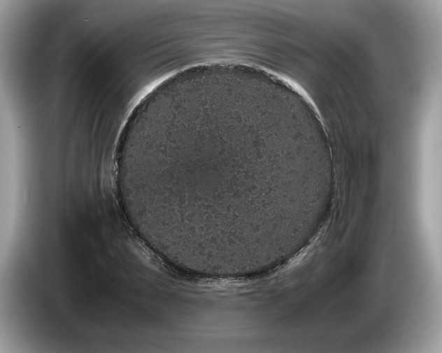 X0000087560879200704271224