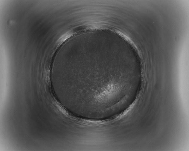 X0000087560881200704271224