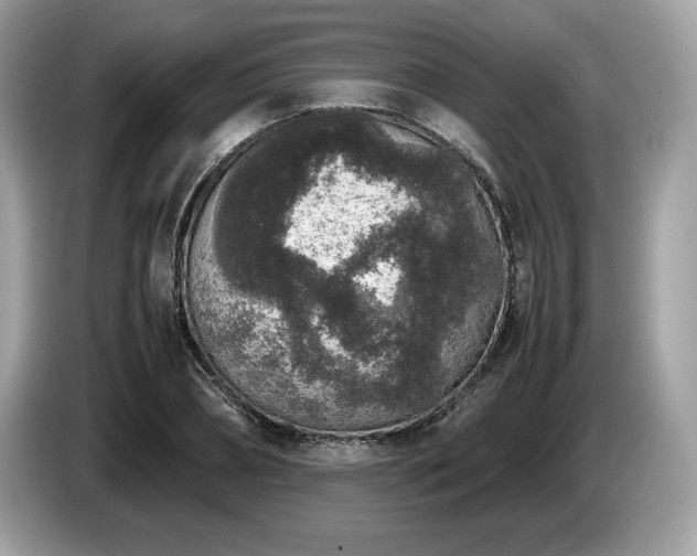 X0000087560882200704271224