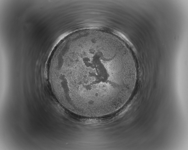 X0000087560883200704271224