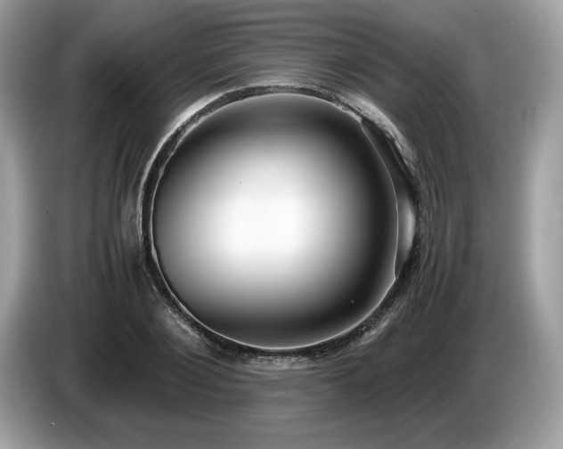 X0000087560884200704271224