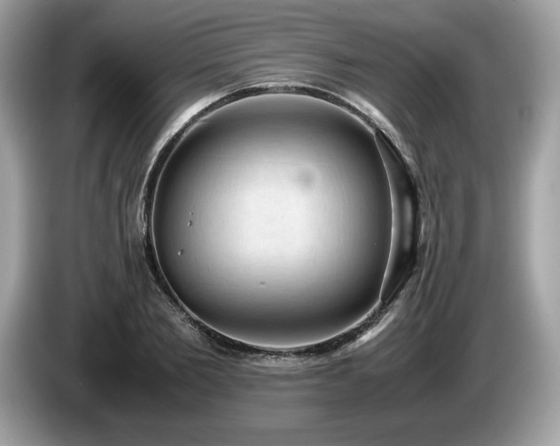 X0000087560885200704271224