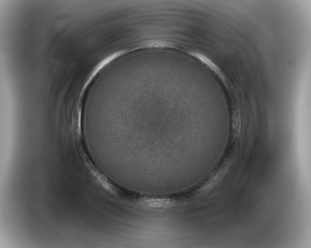 X0000087560886200704271224
