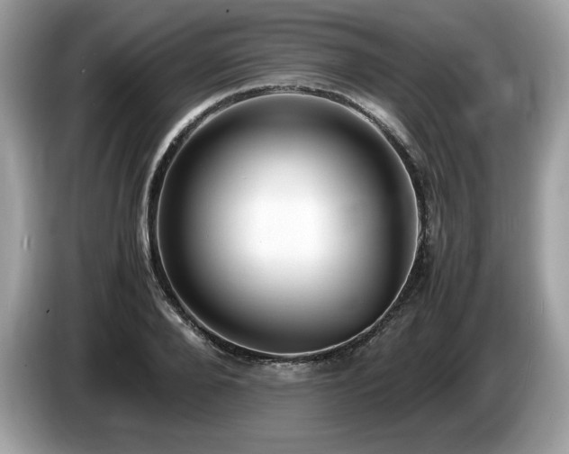 X0000087560888200704271224