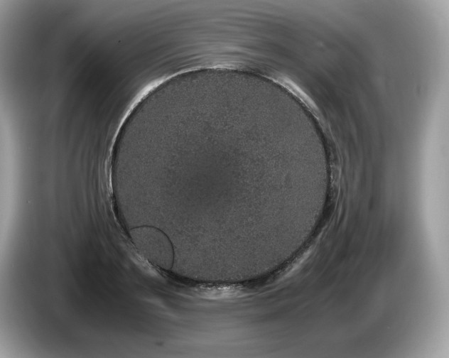 X0000087560891200704271224