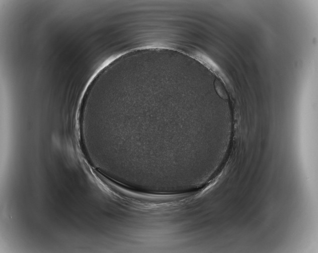 X0000087560892200704271224