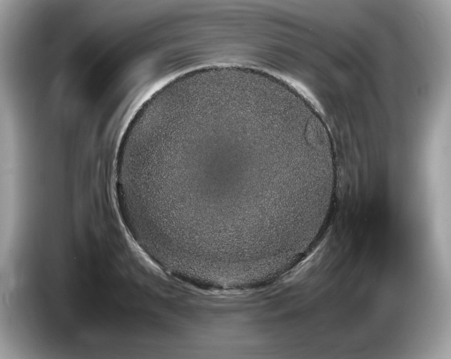 X0000087560895200704271224