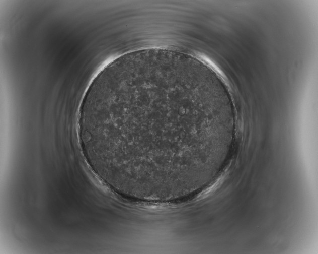 X0000087560899200704271224