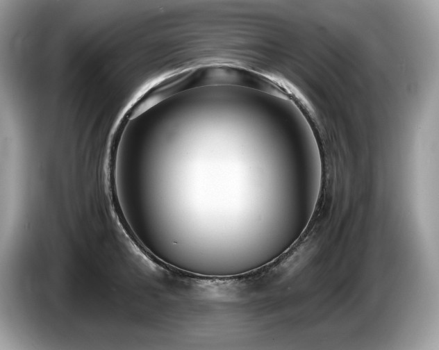 X0000087560902200704271224