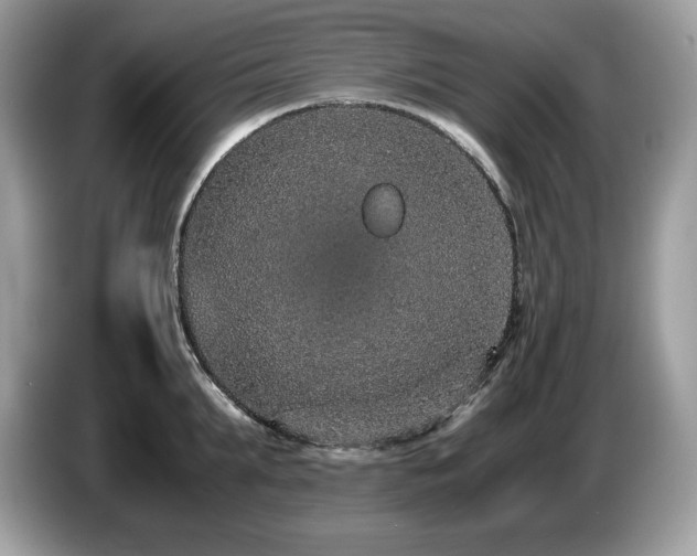 X0000087560903200704271224