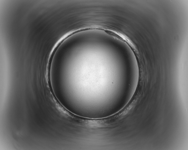 X0000087560904200704271224