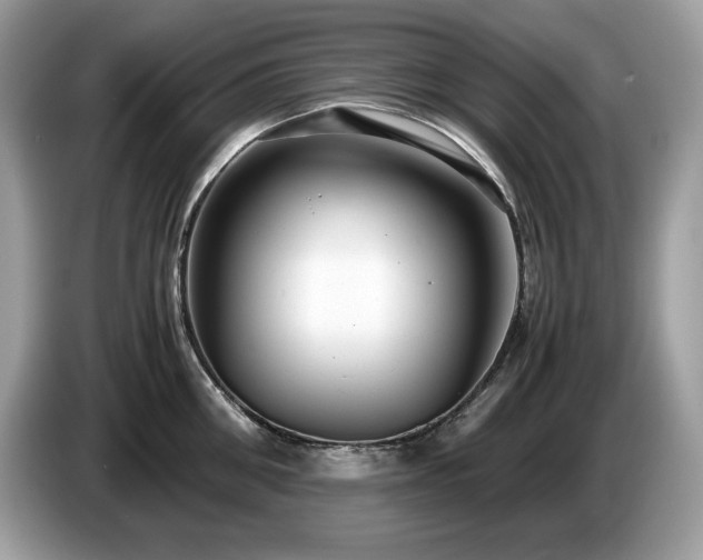 X0000087560906200704271224