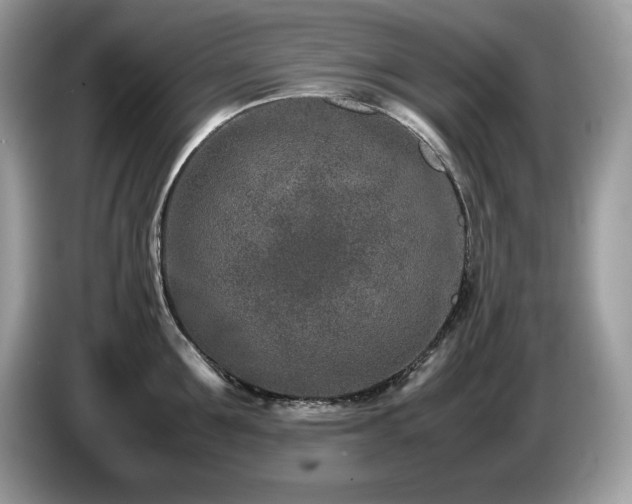 X0000087560907200704271224