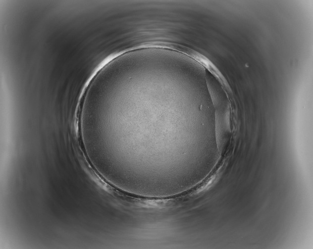 X0000087560908200704271224