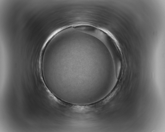 X0000087560910200704271224