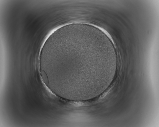 X0000087560911200704271224