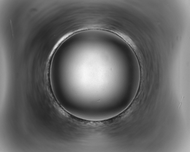 X0000087560912200704271224
