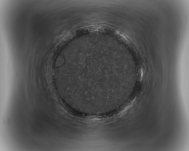 X0000087560913200704271223