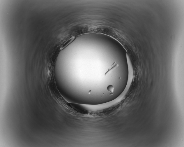 X0000087560914200704271223