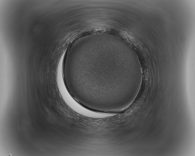 X0000087560916200704271223