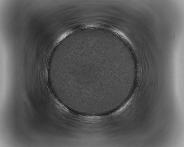 X0000087560921200704271223