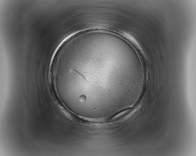 X0000087560924200704271223