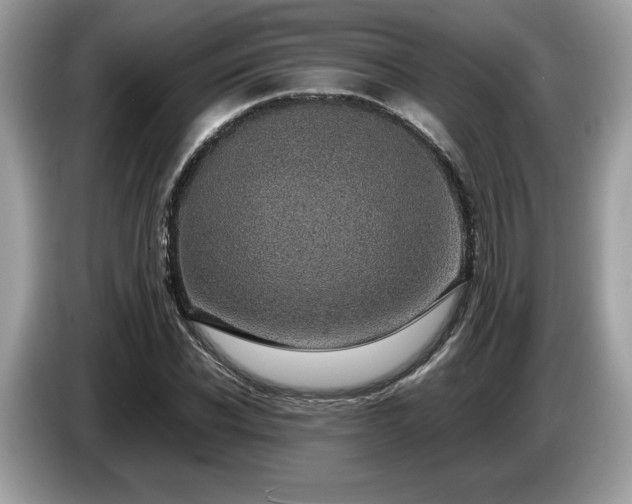 X0000087560926200704271223